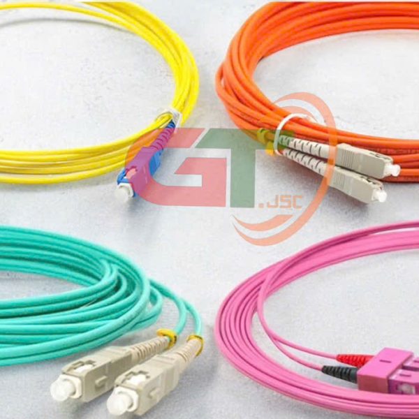 Dây nhảy quang Munltimode OM2