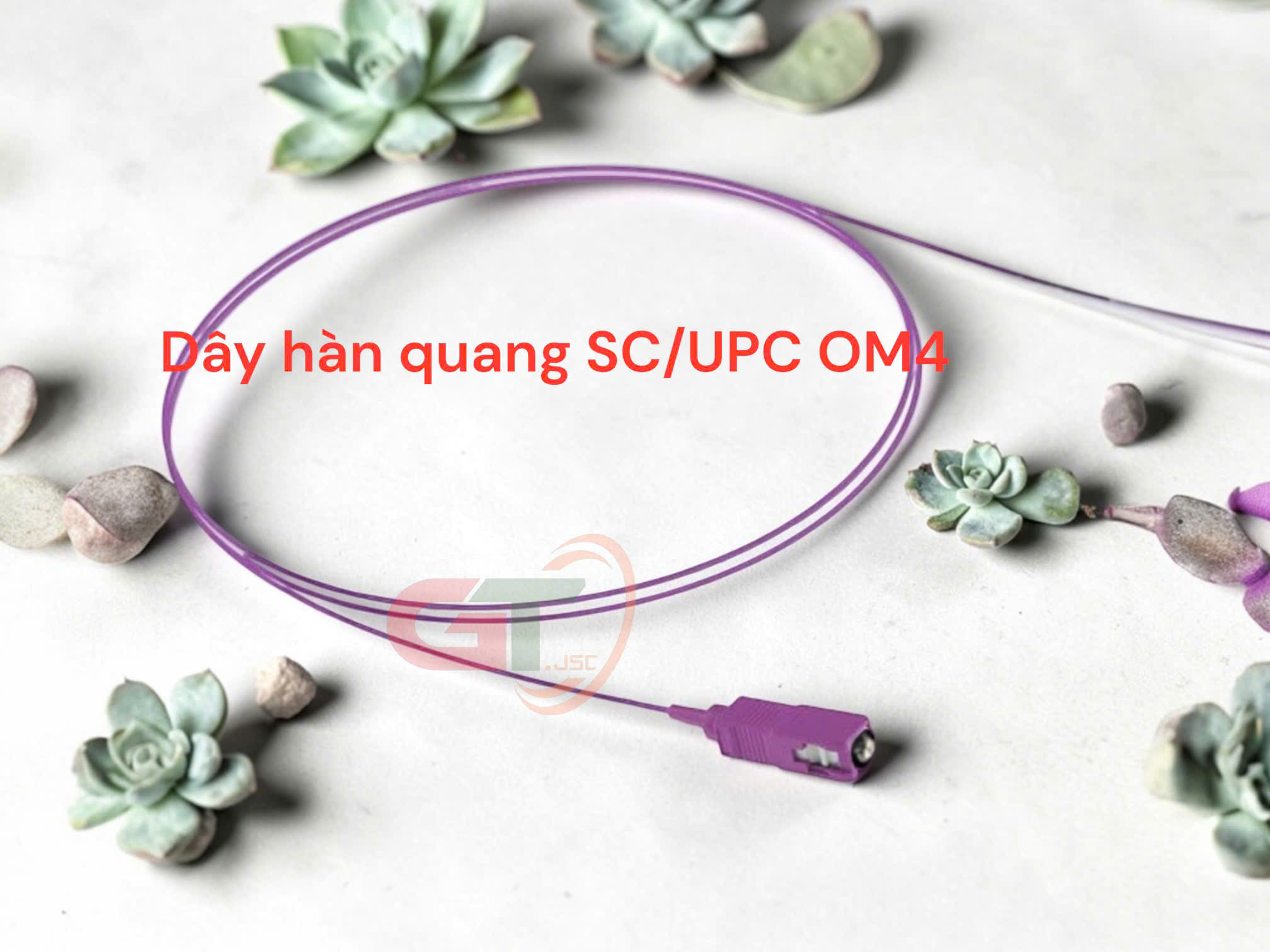 day-han-quang-om4-pigtail-multimode-sc-upc-1-5-m